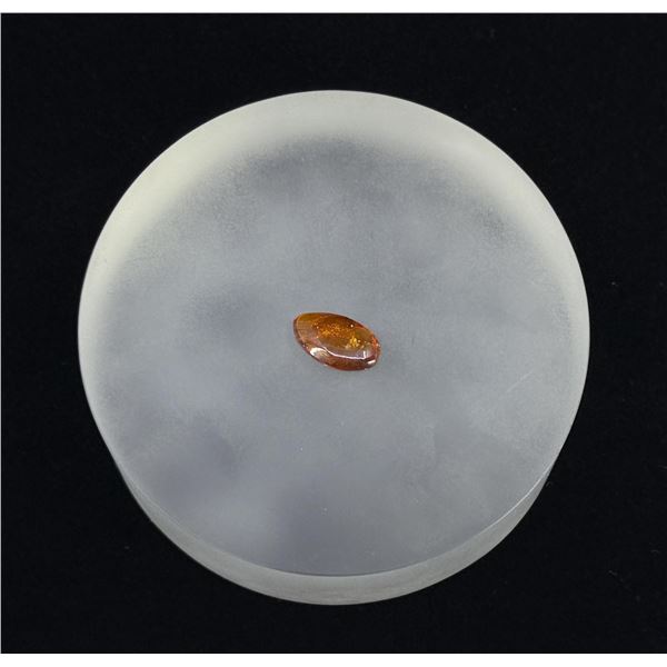 Dominican Amber Cabochon