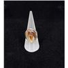 Image 1 : Starborn Agate Sterling Silver Ring
