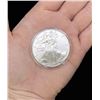 Image 1 : 2010 Silver Eagle