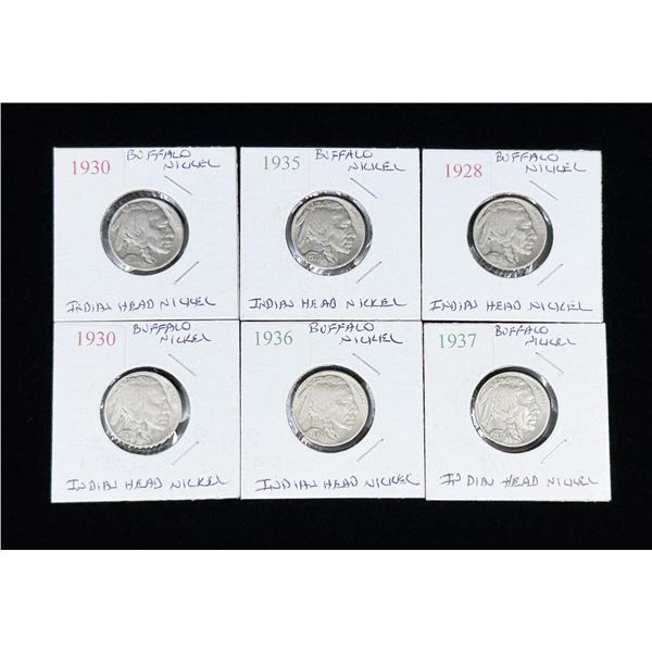 Collection of Buffalo Nickels