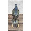 Image 3 : Bing & Grondahl 7036 Porcelain European Dove