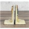 Image 3 : Hubley Cast Iron Parrot Bookends
