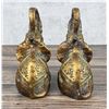Image 5 : Bronze Clad Elephant Bookends