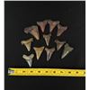 Image 5 : Collection of Fossil Shark Teeth