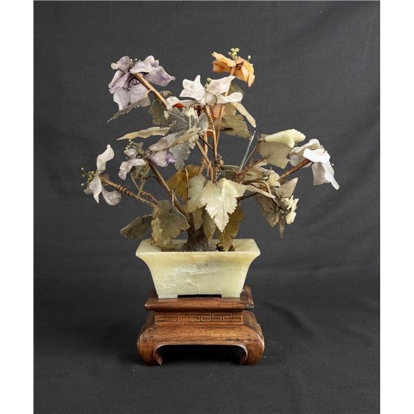 Chinese Jade Bonsai Tree