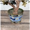 Image 7 : Chinese Hardstone Bonsai Tree