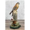 Image 2 : Boehm Porcelain Kestrel