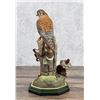 Image 3 : Boehm Porcelain Kestrel
