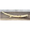 Image 6 : Alaskan Inuit Eskimo Walrus Ivory Cribbage Board