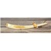 Image 8 : Alaskan Inuit Eskimo Walrus Ivory Cribbage Board