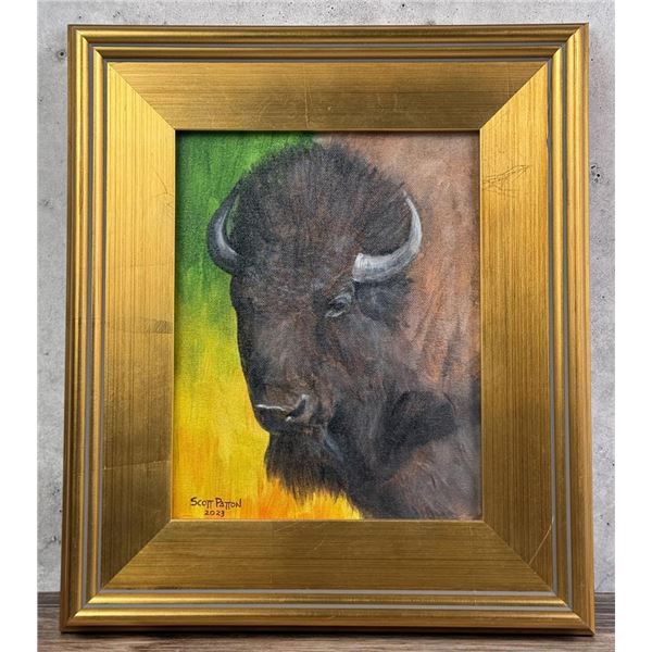 Scott Patton Buffalo Oil on Canvas Painting