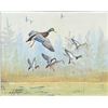 Image 2 : Ron Jenkins Mallards Painting