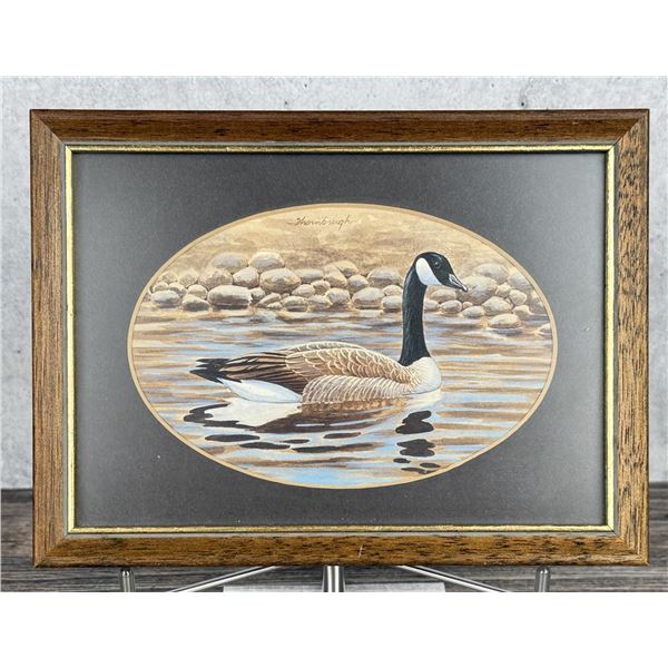 Joe Thornbrugh Canada Goose Gouache Painting