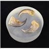 Image 1 : Collection of Black Bear Claws