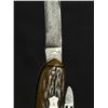 Image 4 : Collection of Jigged Bone Handle Pocket Knives