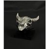 Image 1 : Buffalo Skull Paperweight