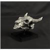 Image 3 : Buffalo Skull Paperweight