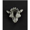 Image 6 : Buffalo Skull Paperweight
