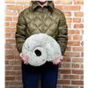 Image 1 : Large Ammonite Fossil
