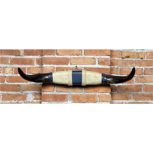 Texas Longhorn Steer Horns