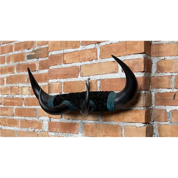 Antique Montana Buffalo Horn Hat Rack