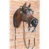 Image 3 : Group of Assorted Cowboy Bridles Bits