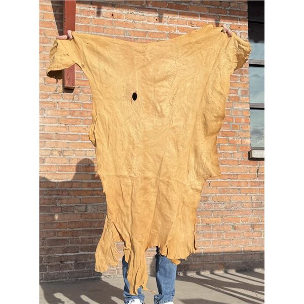 Tanned Leather Montana Elk Hide
