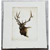 Image 1 : William Gamradt The Royal One Elk Etching Print