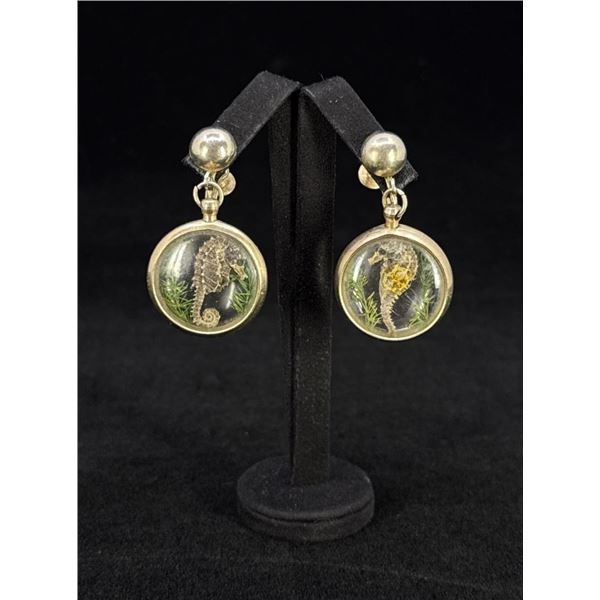 Mid Century Real Dried Seahorse Earrings