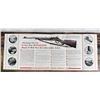 Image 6 : Winchester Model 71 .348 Introduction Brochure