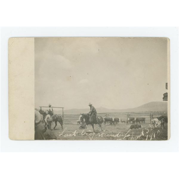 Flathead Indian Reservation Cattle RPPC Postcard