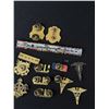 Image 10 : WW2 WAC Pins Medals and Badges