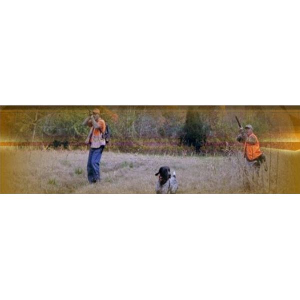1-Day Quail Hunt in Harmony, North Carolina for 2 Hunters