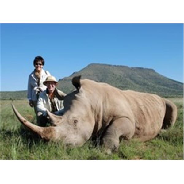 Rhino Dart and Conservation Tour