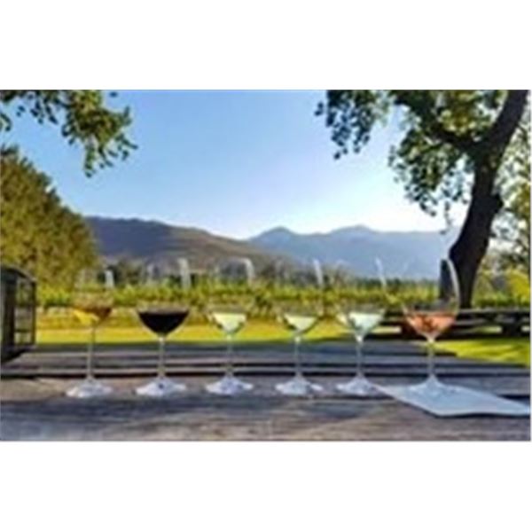 Exclusive South African Boutique Wine Tasting Experience for Up to 50 Guests