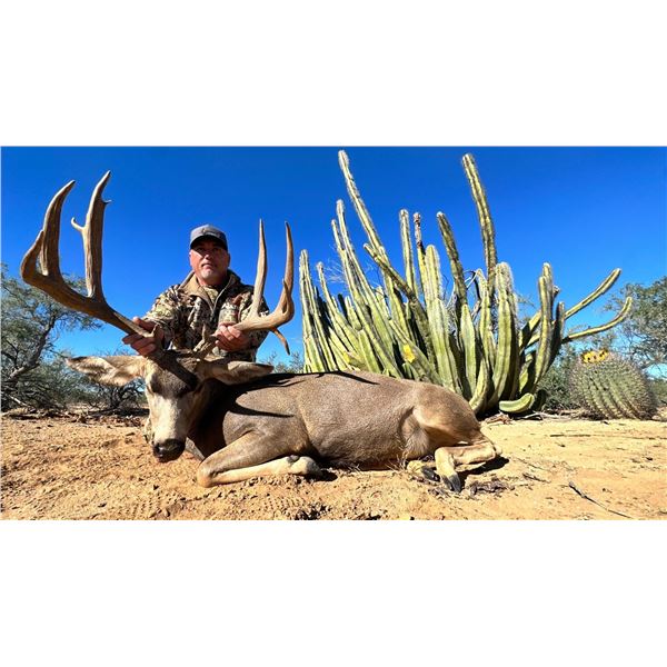 Sonora Desert Mule Deer Hunt