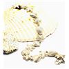 Image 3 : Seashells, Sand Dollars, Starfish, and Scallops Bracelet