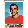 Image 1 : 1977-78 TOPPS ED GIACOMIN (HOF)