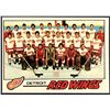Image 1 : 1977-78 TOPPS DETROIT RED WINGS