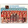 Image 1 : 1975-76 NHL TOPPS CHICAGO BLACK HAWKS