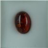 Image 1 : 4.90 CT Baltic Amber Oval Cabochon Gemstone