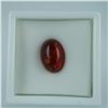 Image 2 : 4.90 CT Baltic Amber Oval Cabochon Gemstone