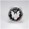 Image 3 : 2008-W American Silver Eagle One Ounce Silver Proof Dollar Coin Type 1
