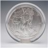 Image 1 : 2013-W American Eagle One Ounce Silver Uncirculated Coin