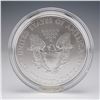 Image 2 : 2013-W American Eagle One Ounce Silver Uncirculated Coin