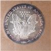 Image 2 : 1990 American Silver Eagle Dollar Type 1