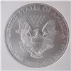 Image 4 : 2009 American Silver Eagle Dollar Coin NGC Graded MS 69 Early Releases