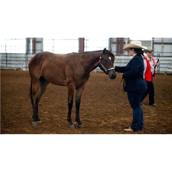 One Expensive Drawing