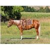 Image 5 : RWS PRETTY N GOLD