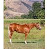 Image 6 : RWS PRETTY N GOLD
